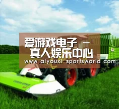 关于爱游戏棋牌游戏