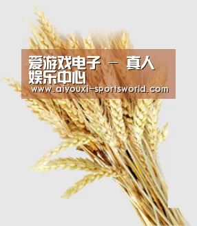 爱游戏电子 - 真人娱乐中心