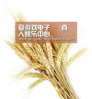爱游戏电子 - 真人娱乐中心
