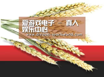 爱游戏电子 - 真人娱乐中心