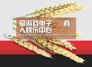 爱游戏电子 - 真人娱乐中心