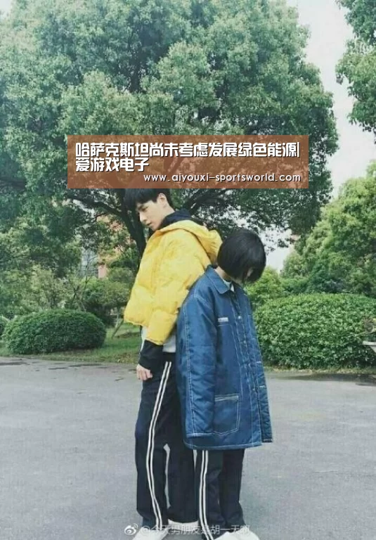 哈萨克斯坦尚未考虑发展绿色能源|爱游戏电子(图1) 爱游戏体育
