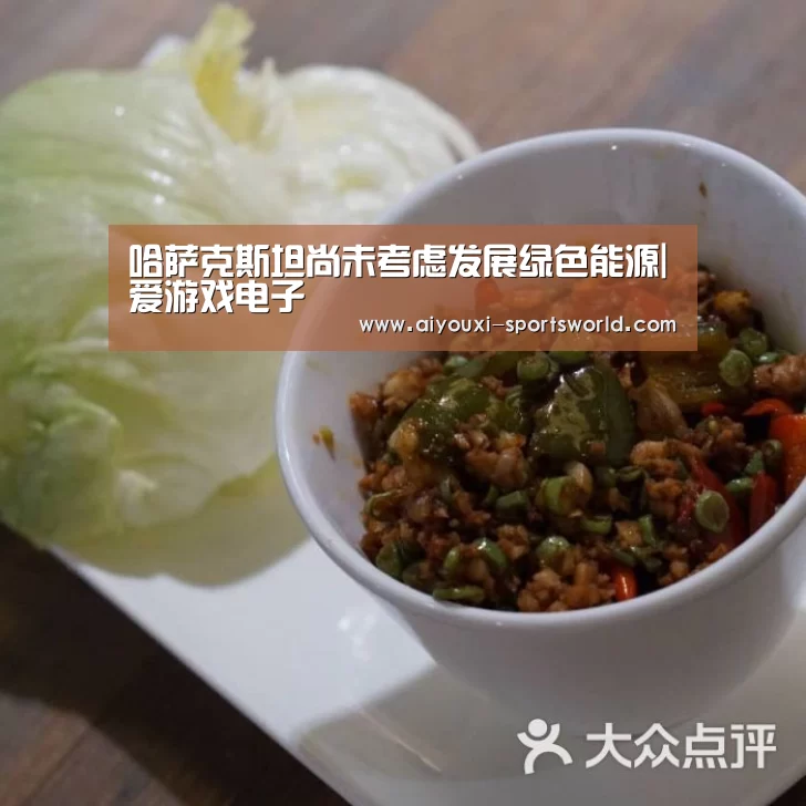 哈萨克斯坦尚未考虑发展绿色能源|爱游戏电子(图3) 爱游戏百家乐