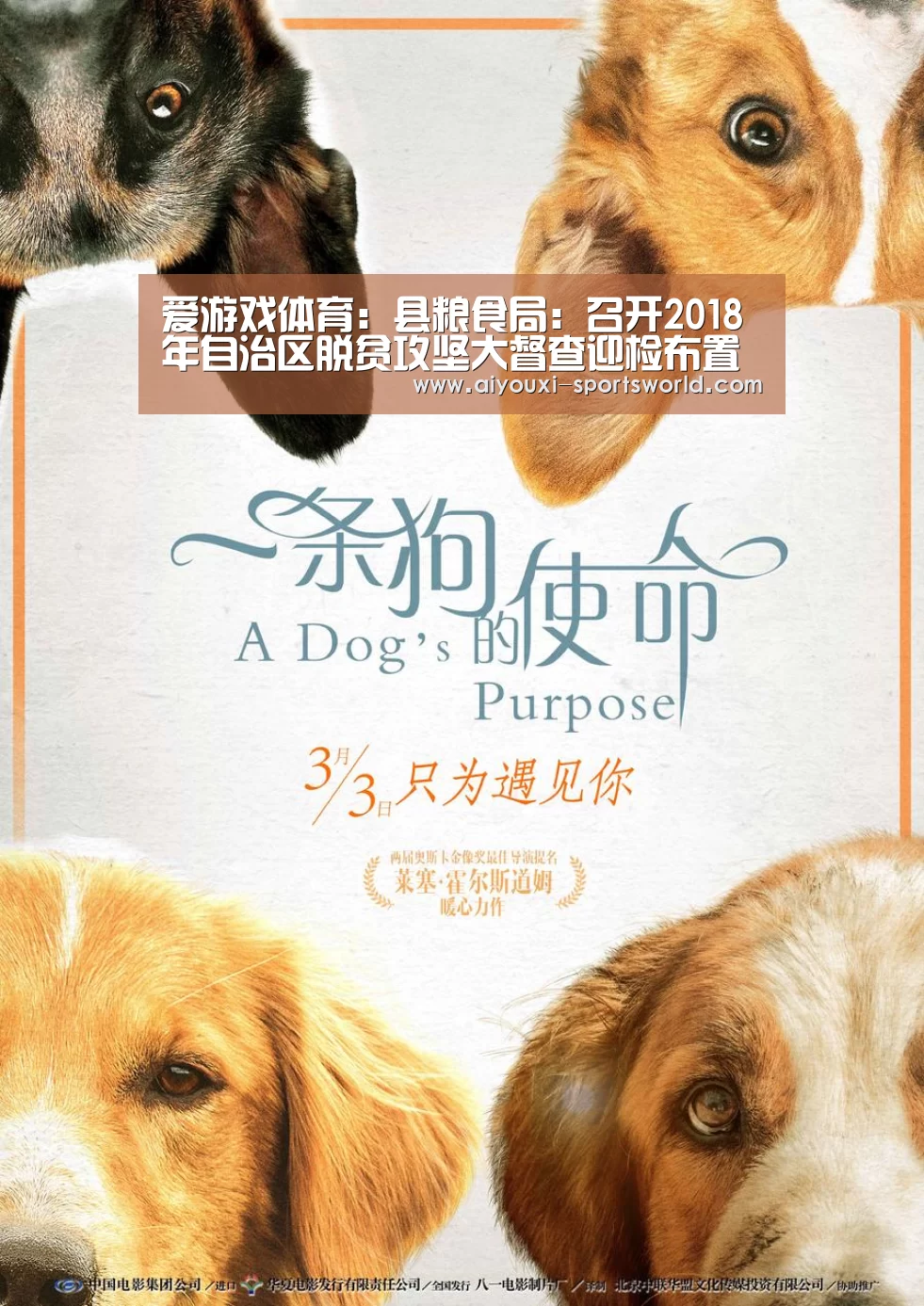 爱游戏体育:县粮食局:召开2018年自治区脱贫攻坚大督查迎检布置会(图1) 爱游戏百家乐